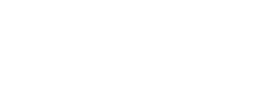 Government of Ireland